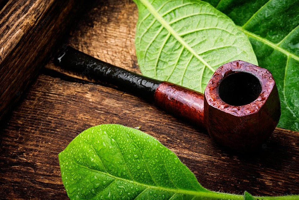 Images/Blog/MbypX8T1-pngtree-stylish-smoking-pipe-and-not-a-mature-tobacco-leaf-smoking-retro-photo-image_2791611.jpg